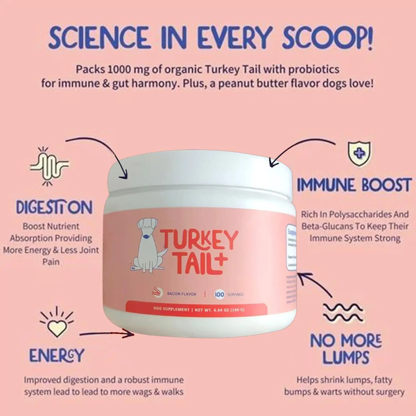 Turkey Tail Mushroom Blend For Dogs